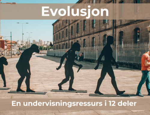 Undervisningsressurs om evolusjon i 12 deler